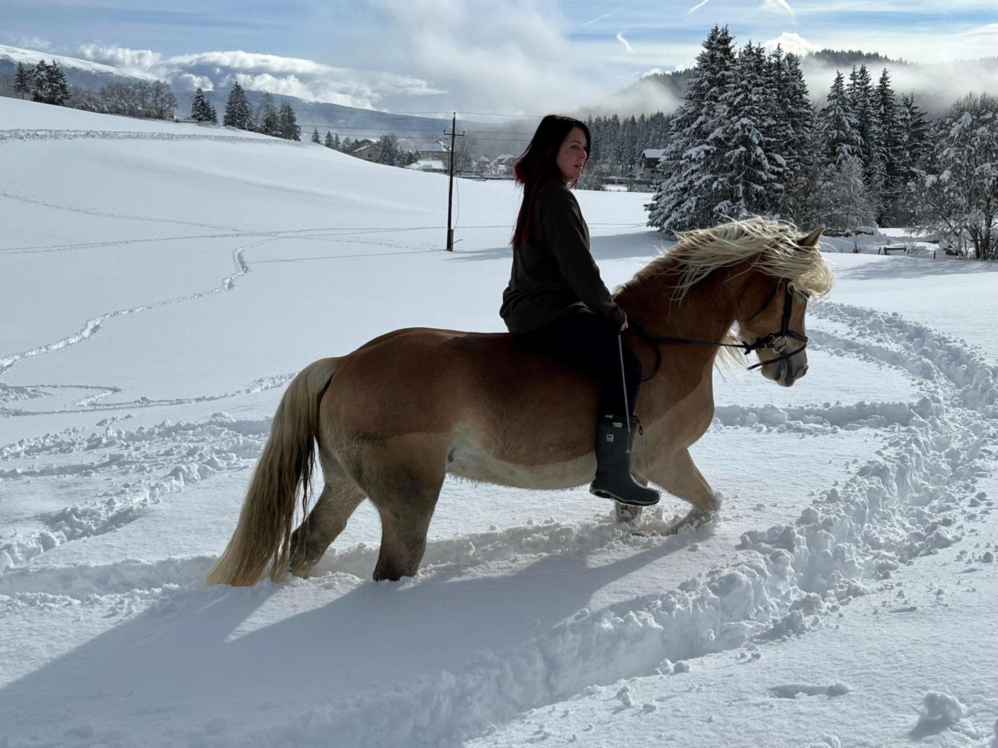 Hotel Gasthof Seeblick Zeutschach Bagian luar foto